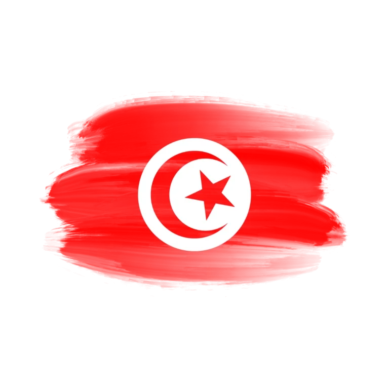 Tunis Tunisia Flag